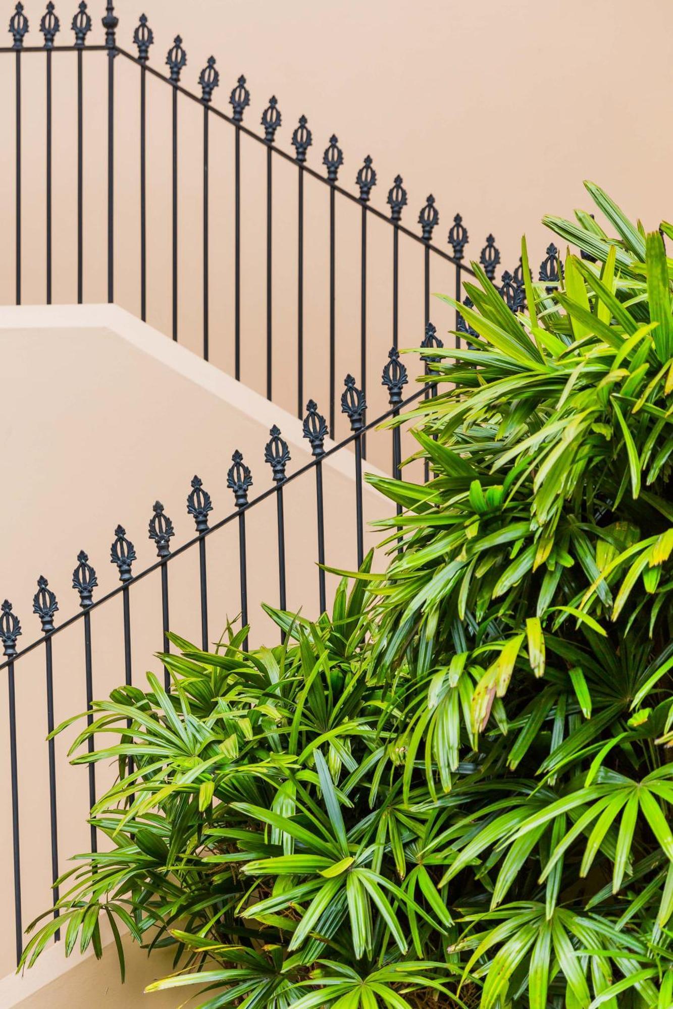 Cosy Nook In Inner-City Victorian Mansion Sydney Ngoại thất bức ảnh